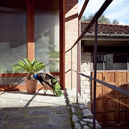 Pleasant With Swimming Pool Garden Bbq Parking Lucolena in Chianti