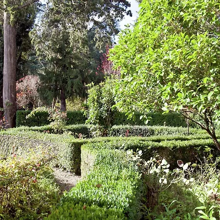 Apartment Pleasant With Swimming Pool Garden Bbq Parking Lucolena in Chianti