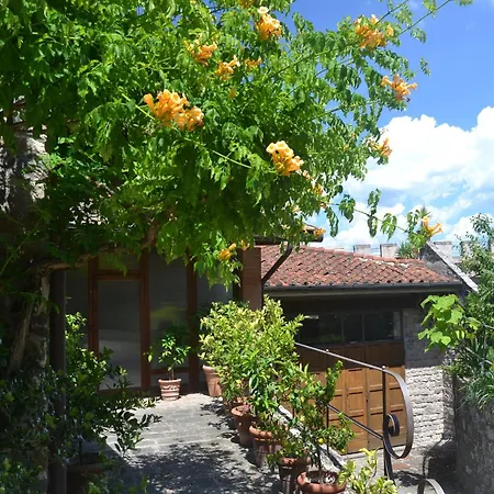 Pleasant With Swimming Pool Garden Bbq Parking