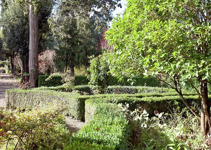 Apartamento Pleasant With Swimming Pool,garden,bbq, Parking Lucolena in Chianti