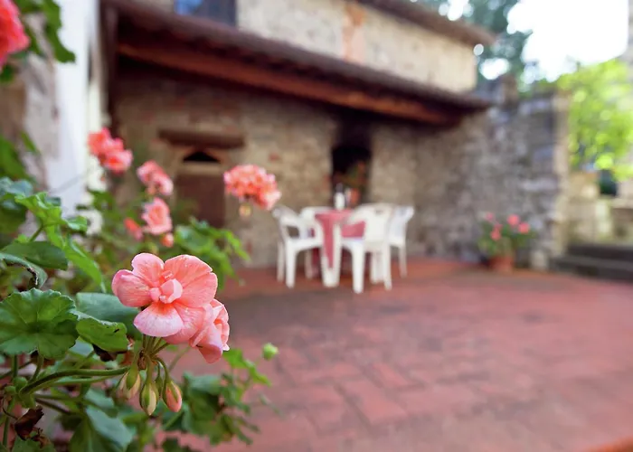 Pleasant With Swimming Pool,garden,bbq, Parking Apartamento *