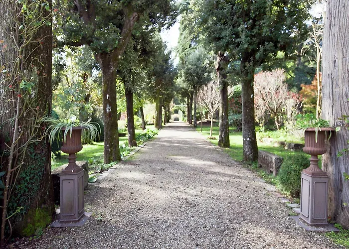 Pleasant With Swimming Pool,garden,bbq, Parking Apartamento